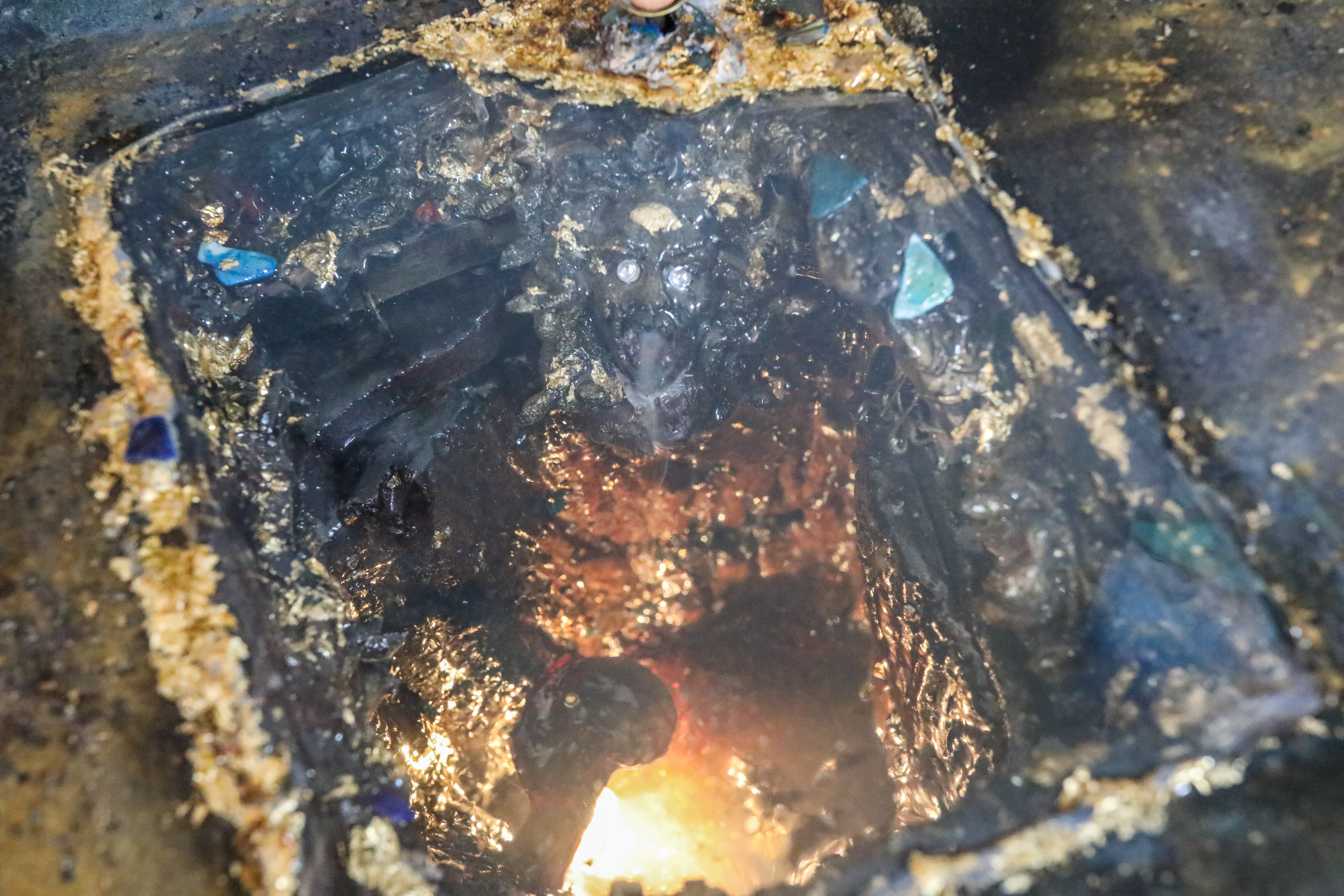 Medusa new smoke thumbnail